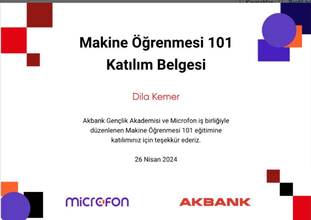 Makine Öğrenmesi Sertifikası